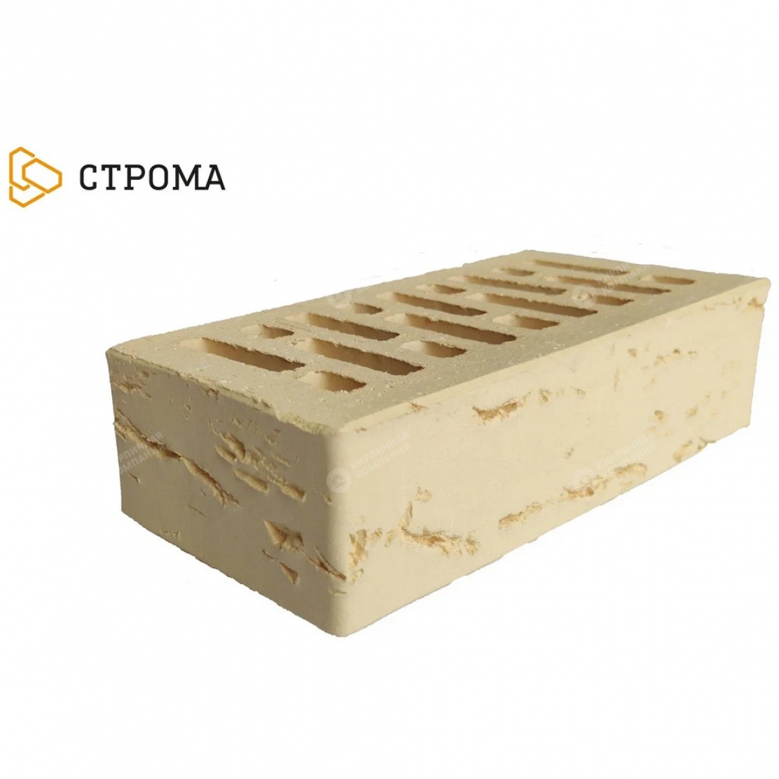 СЛОНОВА КОСТЬ КОРА ДУБА 1НФ пустотелый