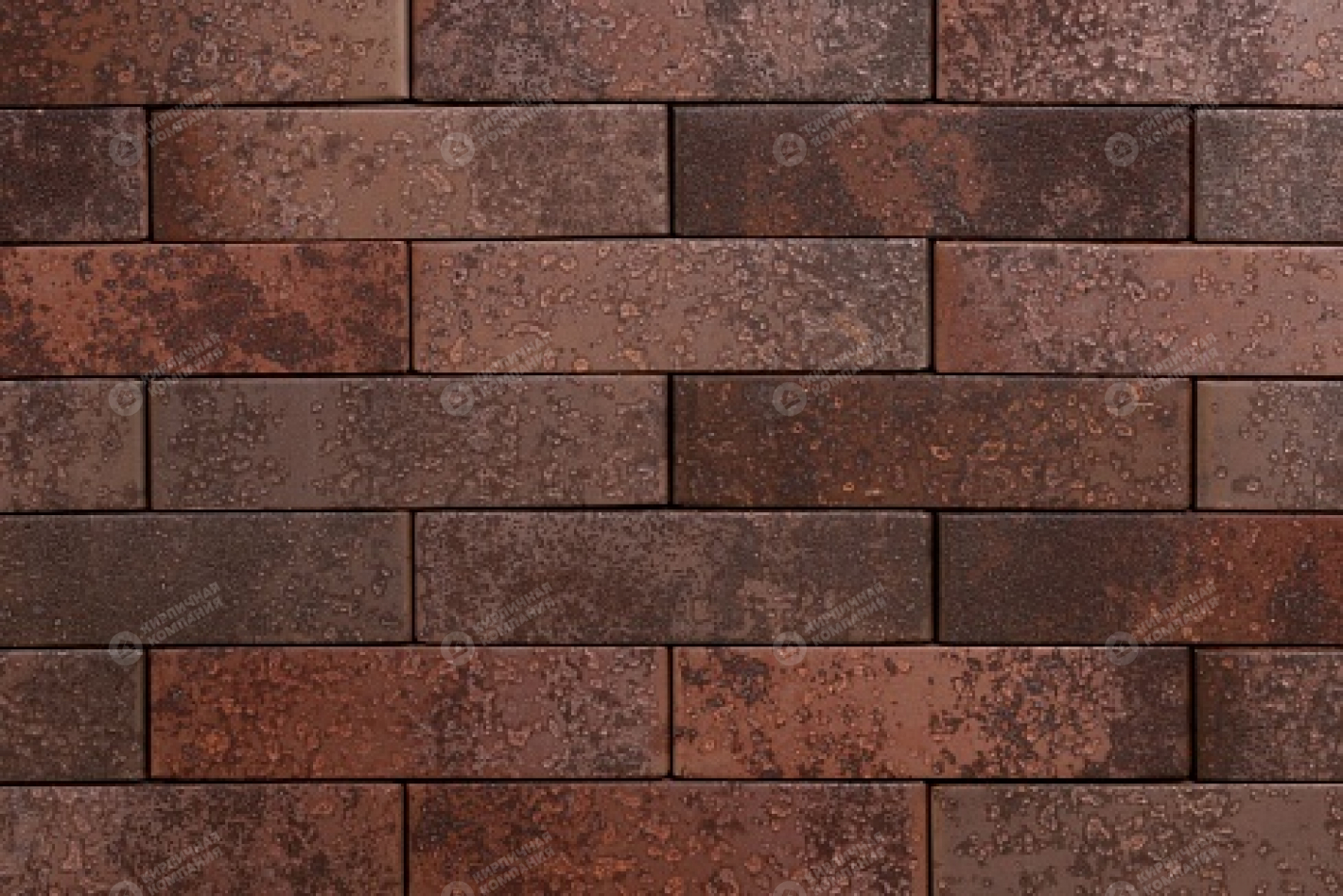 ТАЙГА МОРИОН СЕВЕР 1НФ пустотелый