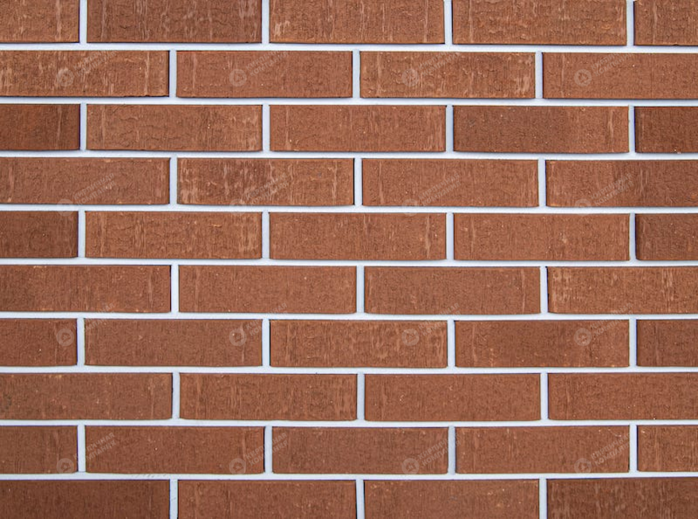 КРАСНЫЙ БАРХАТ 0,5НФ пустотелый