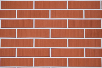 КРАСНЫЙ БАРХАТ 1НФ пустотелый